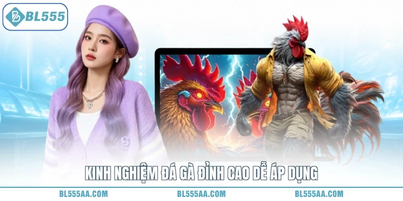 Kinh nghiệm đá gà đỉnh cao dễ áp dụng
